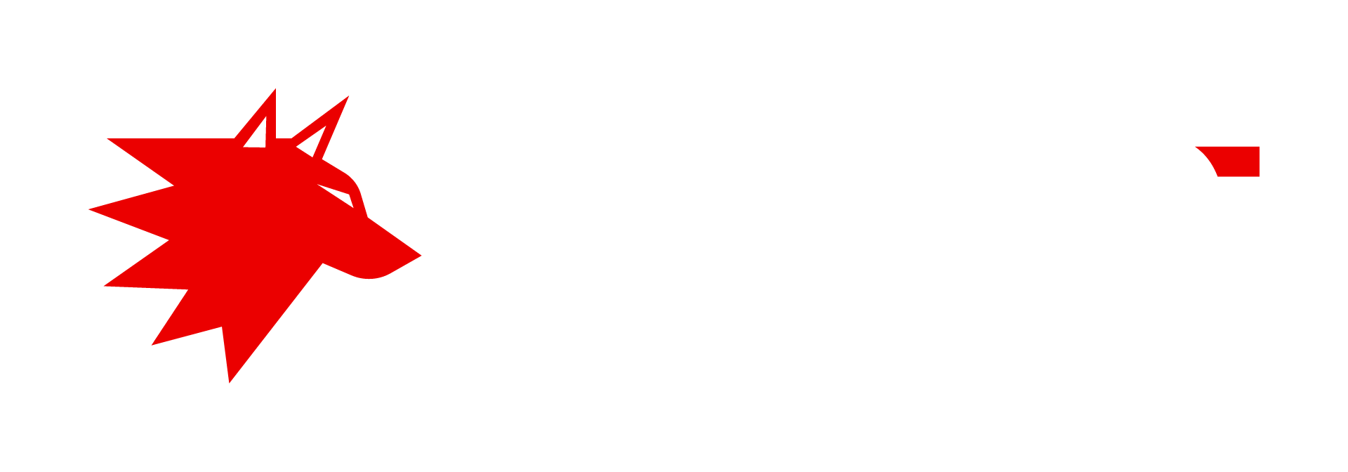The company logo of Luput GmbH with the main colors being white and red over a black background